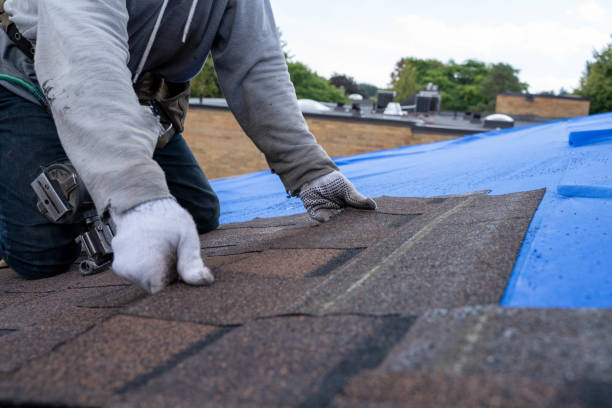 Best Metal Roofing Installation  in Dent, OH