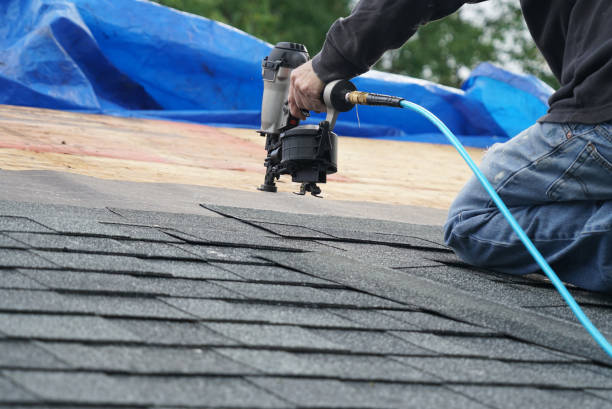 Best Roof Leak Repair  in Dent, OH